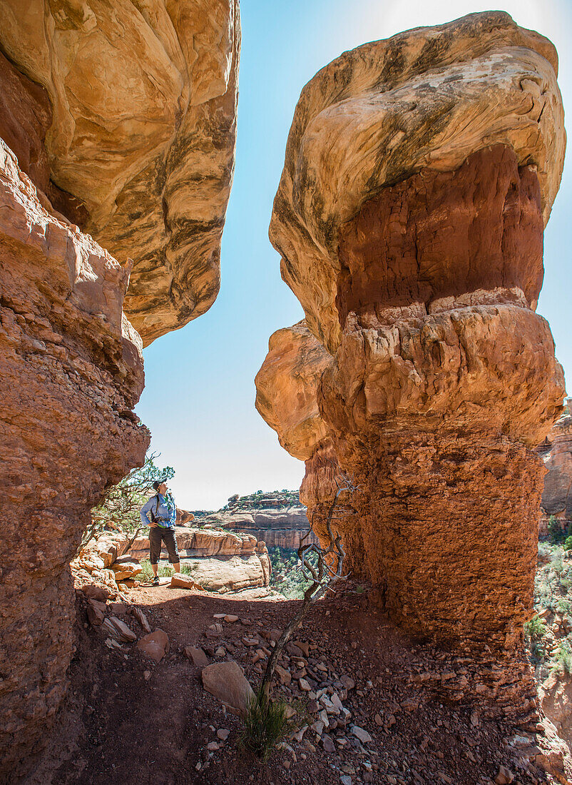 Woman at Moon House ruins, Cedar Mesa, Bears Ears National Monument, Utah, USA