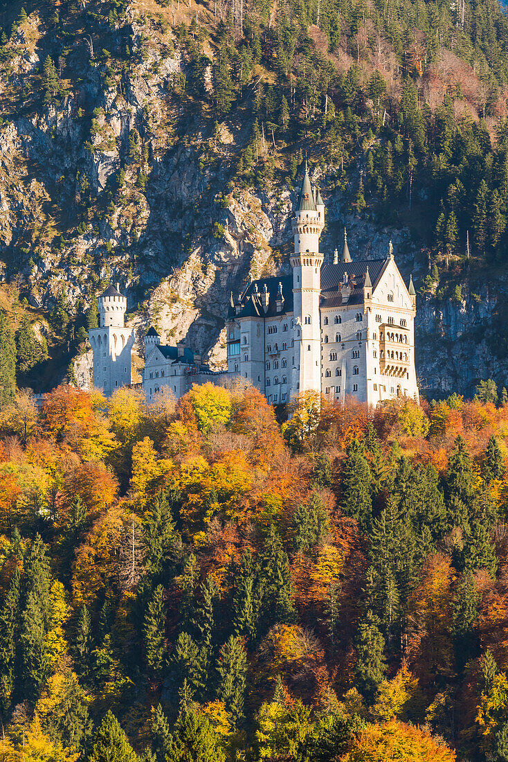 Schwangau, Bavaria, Germany, Europe, Neuschwanstein castle at sunset