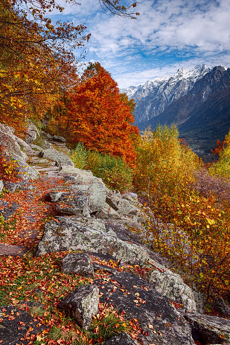 Autumn path of Bregaglia valley, Maloja region, Canton of Graubunden, Switzerland, Europe