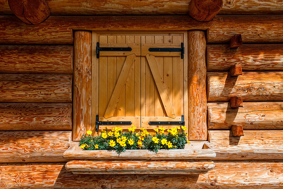 A detail of a hut, Rolle Pass, Trento province, Trentino Alto Adige, Italy, Europe