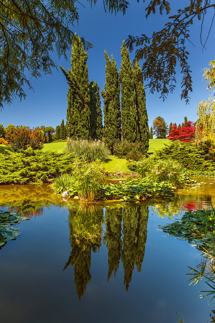 Summer reflection in a ponds of Parco giardino Sigurtà, Valeggio sul Mincio, Verona province, Veneto, Italy, Europe