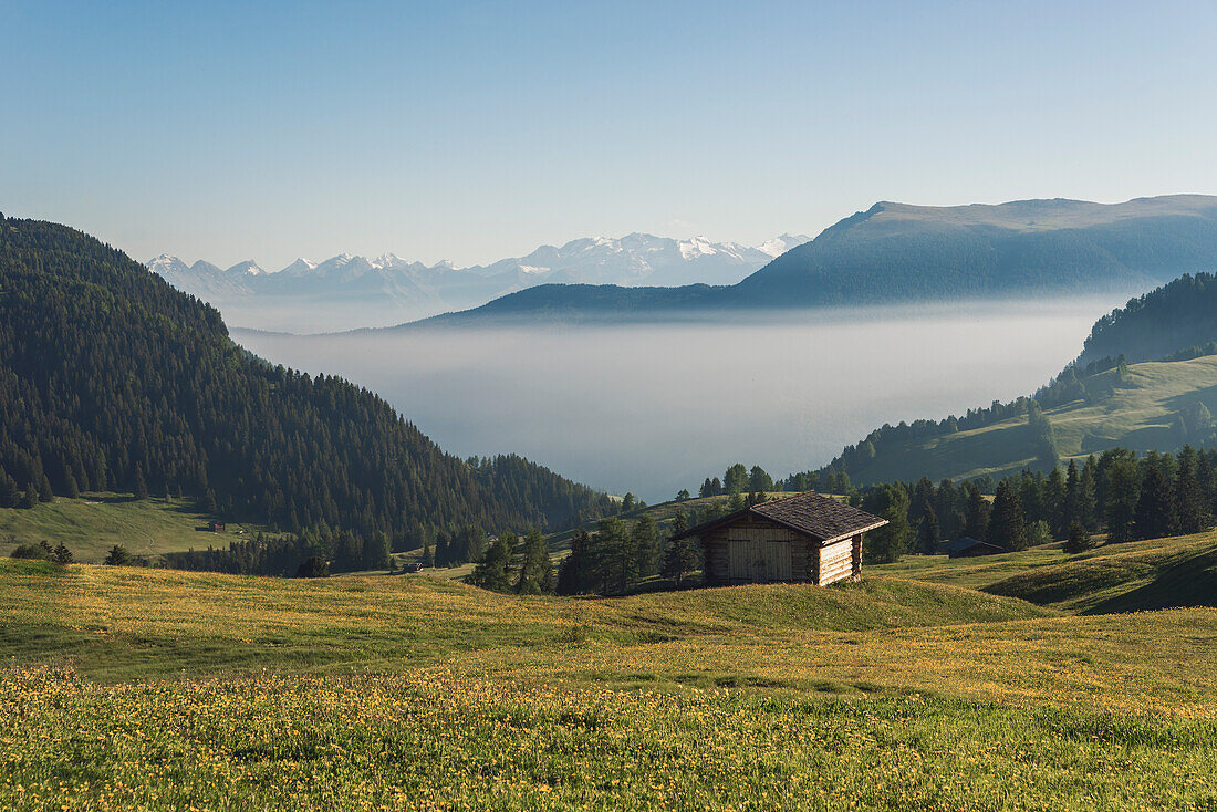 Alpe di Siusi/Seiser Alm, Dolomites, South Tyrol, Italy, Sunrise on the Alpe di Siusi