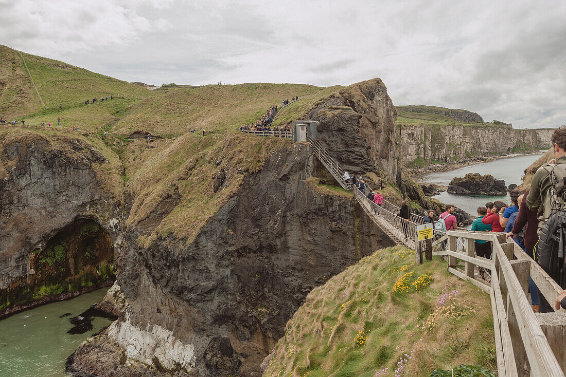 The Carrick a Rede Rope Bridge, Northern … – License image – 71201233 ❘  lookphotos