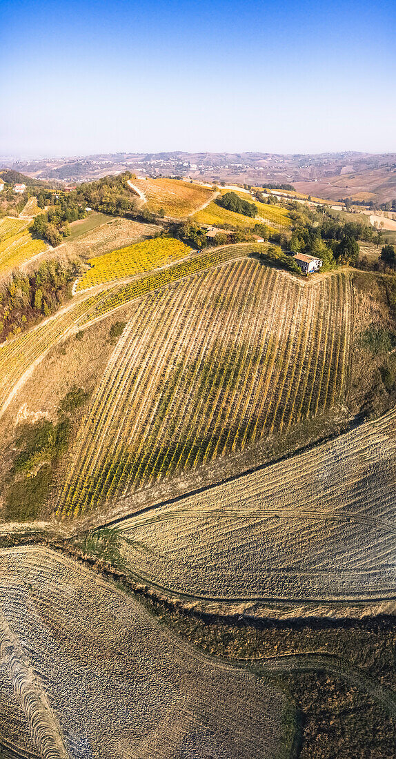 Oltrepo Pavese, Province of Pavia, Lombardy, Italy