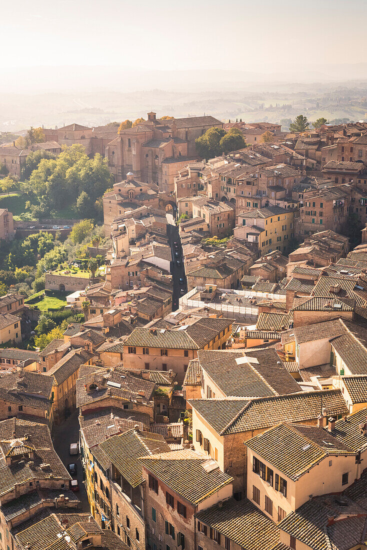 Italy, Tuscany, Siena district. Siena. View of Siena from Del Manga's Tower