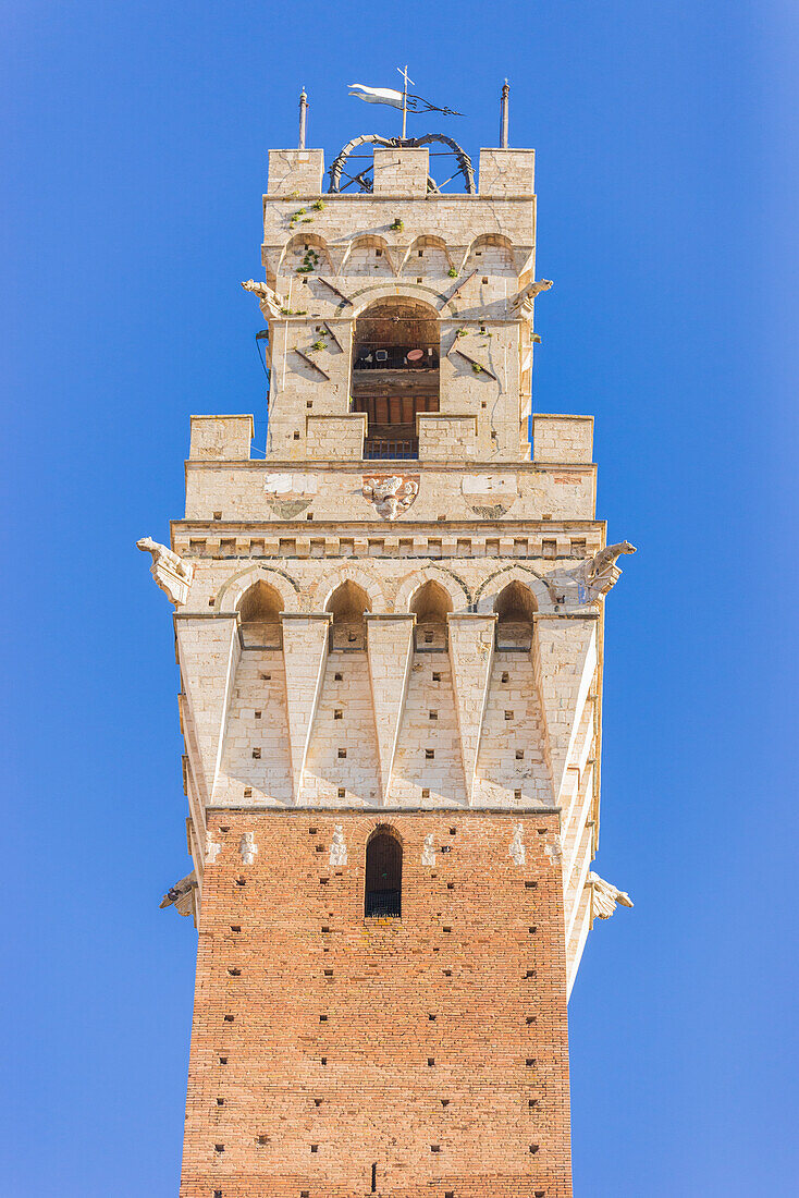 Siena, Tuscany, Italy, Europe, Del Mangia's Tower