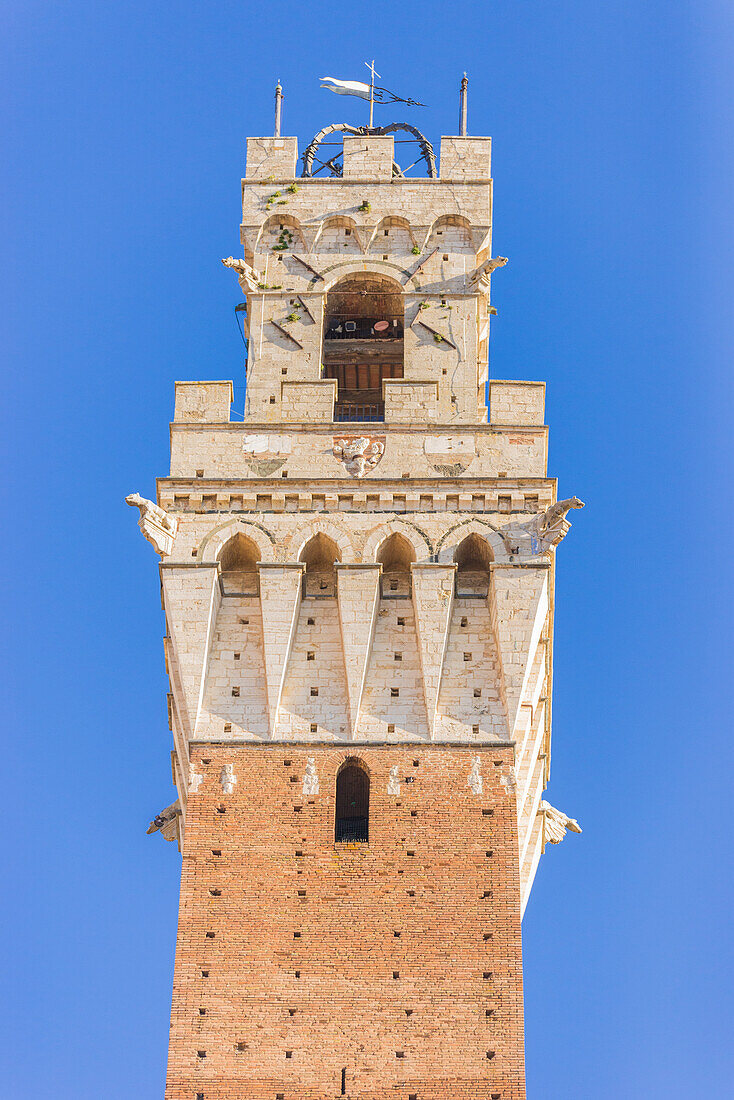 Siena, Tuscany, Italy, Europe. Del Mangia's Tower