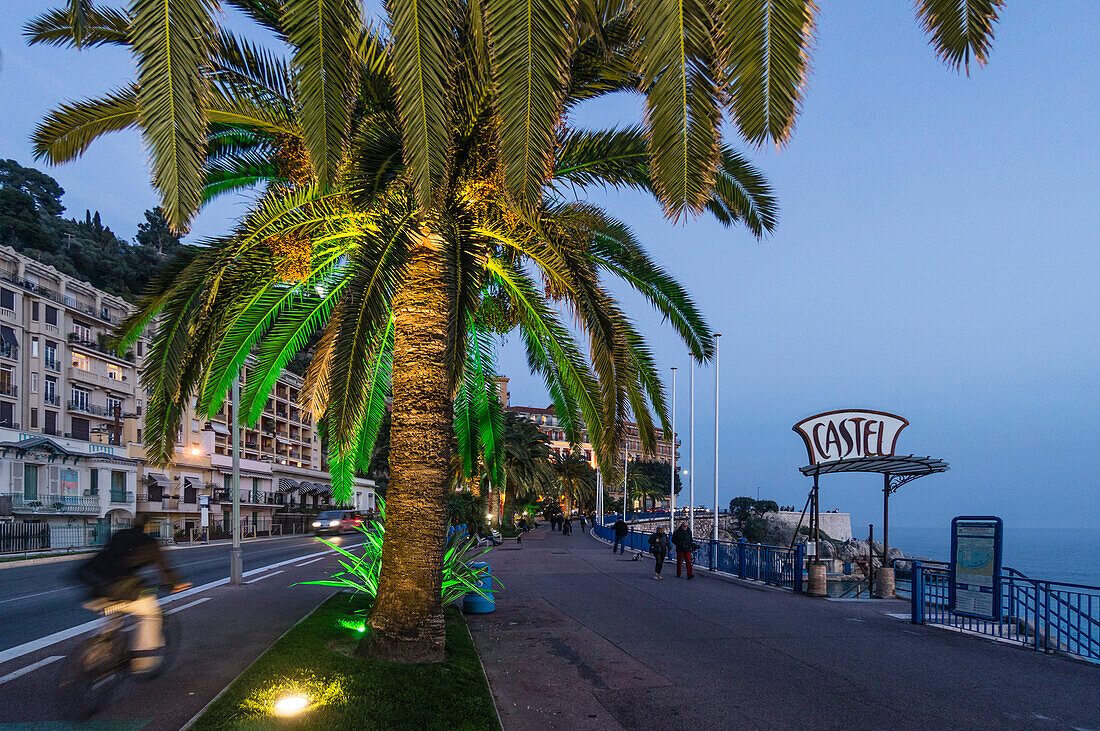 Promenade des Anglais, Castel beach, Palm Tree,Nice, Alpes Maritimes, Provence, French Riviera, Mediterranean, France, Europe