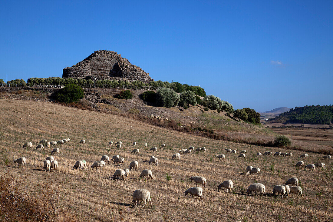 Ancient megalithic Serra Orrios Nuragic Village in Sardinia, Italy