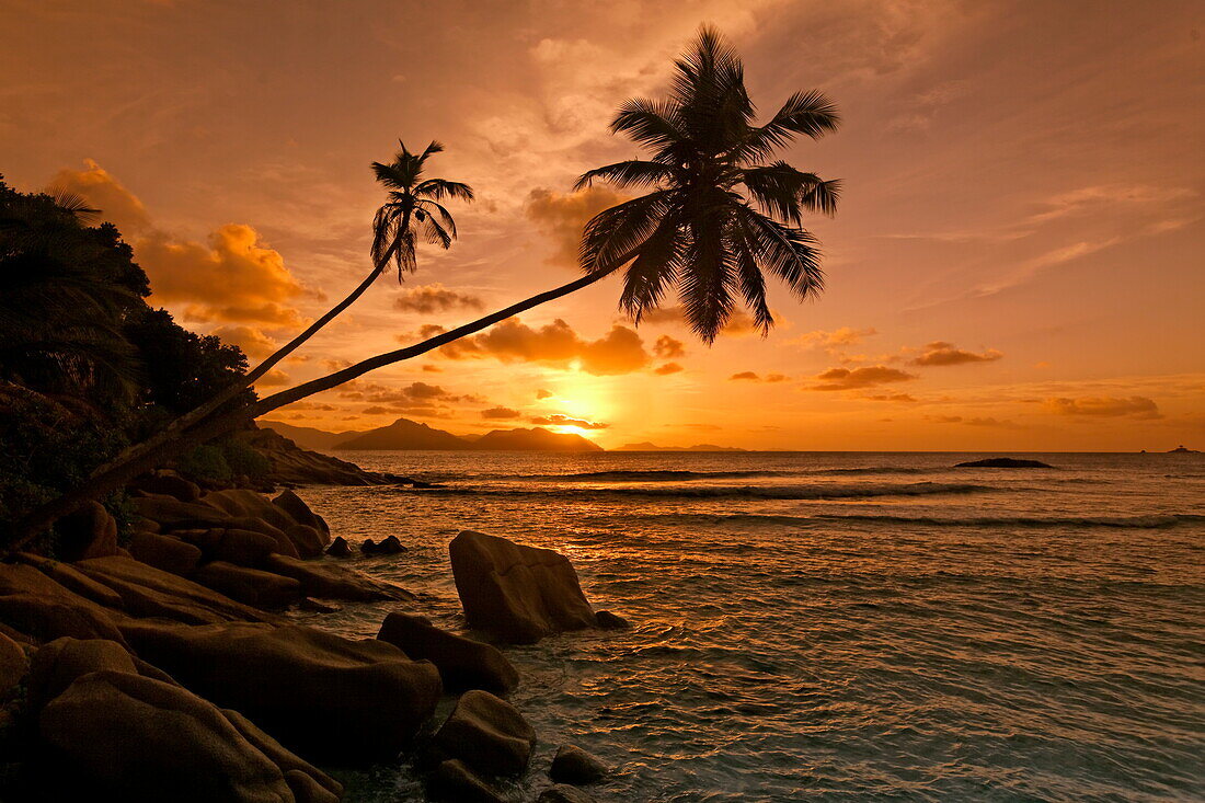 Sonnenuntergang beim Anse Severe Strand auf La Digue, Indischer Ozean, Seychellen