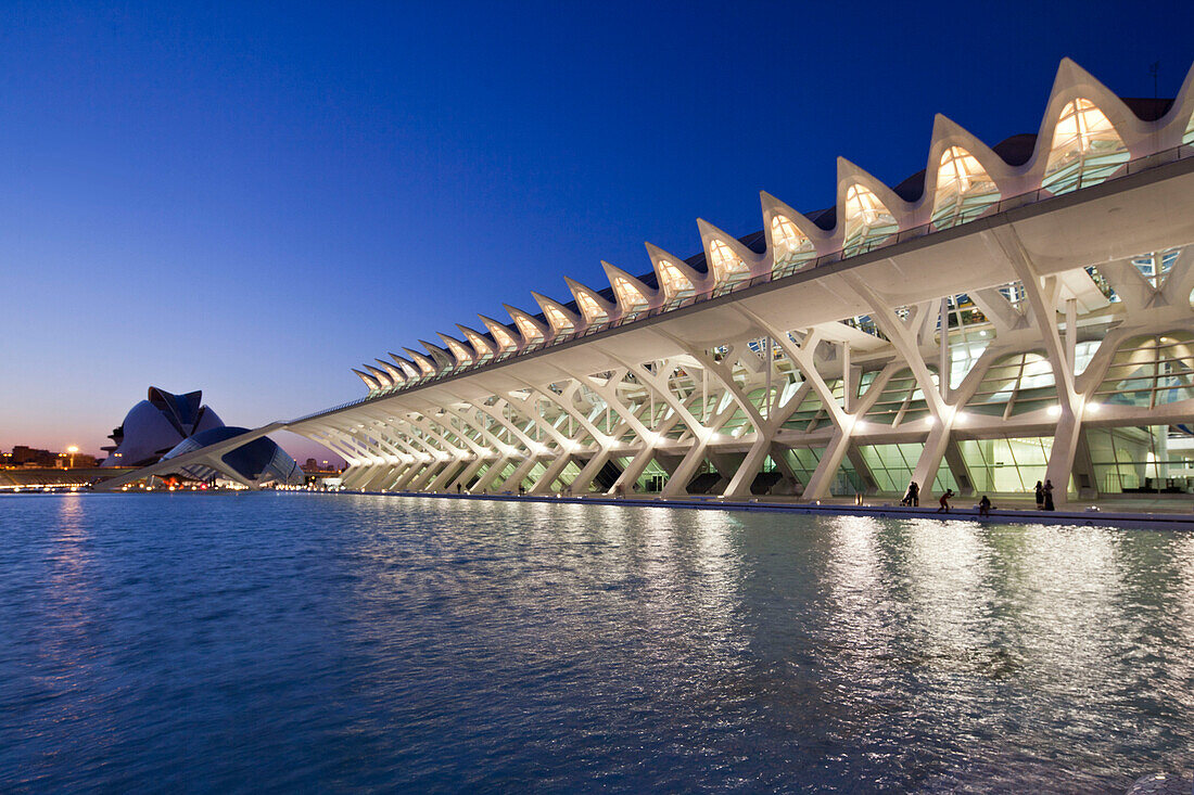 Principe Felipe Science Museum, The Palau de les Arts Reina Sofia, Valencia, Spanien