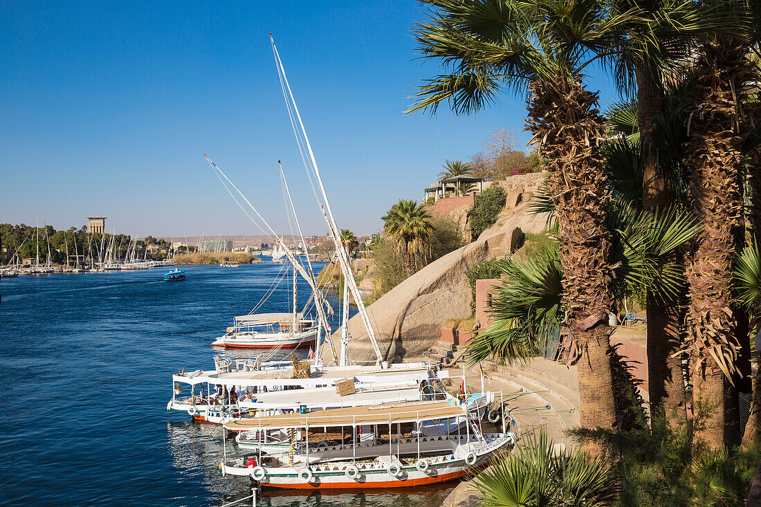 Gardens of Sofitel Legend Old Cataract hotel situated on the banks of the River Nile, Aswan, Upper Egypt, Egypt, North Africa, Africa