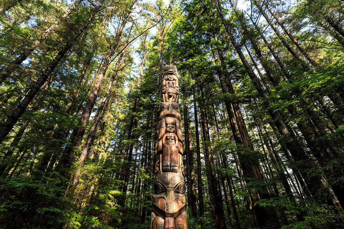 Lakich'inei Pole, Tlingit totem pole, lit by sun in rainforest, Sitka National Historic Park, Sitka, Baranof Island, Alaska, United States of America, North America