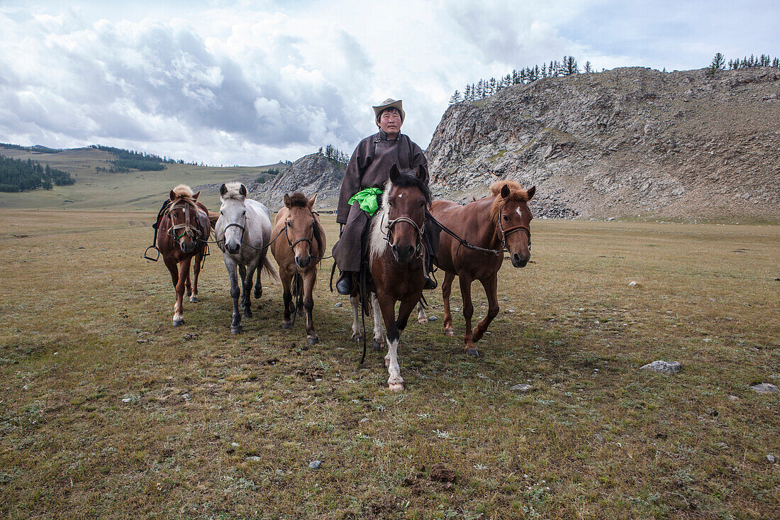 Mongol horseman, Bunkhan Valley, Mongolia, Central Asia, Asia