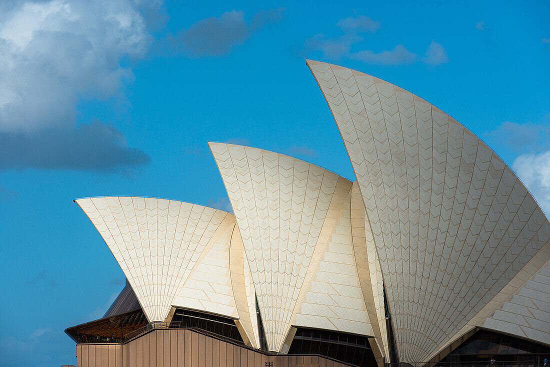 Sydney Opera House sails, UNESCO World Heritage Site, Sydney, New South Wales, Australia, Pacific
