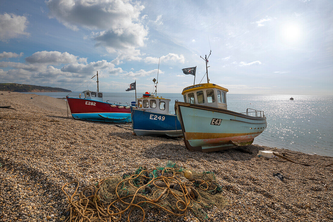 Three small fishing boats pulled up on shingle beach, Beer, Devon, England, United Kingdom, Europe