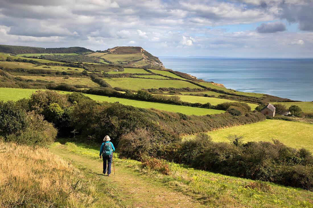 Walker on the South West Coast Path near Stonebarrow with Golden Cap in distance, Charmouth, Jurassic Coast, UNESCO World Heritage Site, Dorset, England, United Kingdom, Europe