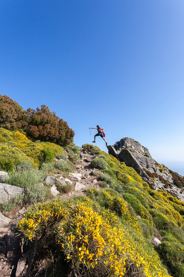 Hiker jumps on rocks on the path to Monte Capanne, Elba Island, Livorno Province, Tuscany, Italy, Europe
