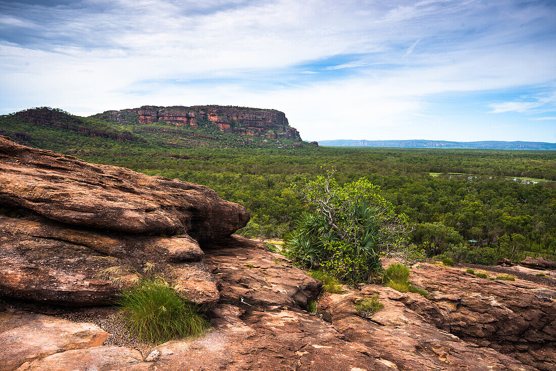 Views from the Nadab lookout, at the sacred Aboriginal site of Ubirr, Kakadu National Park, UNESCO World Heritage Site, Northern Territory, Australia, Pacific