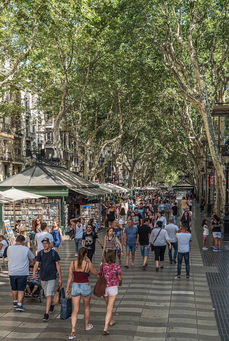 La Rambla, Barcelona, Catalonia, Spain, Europe