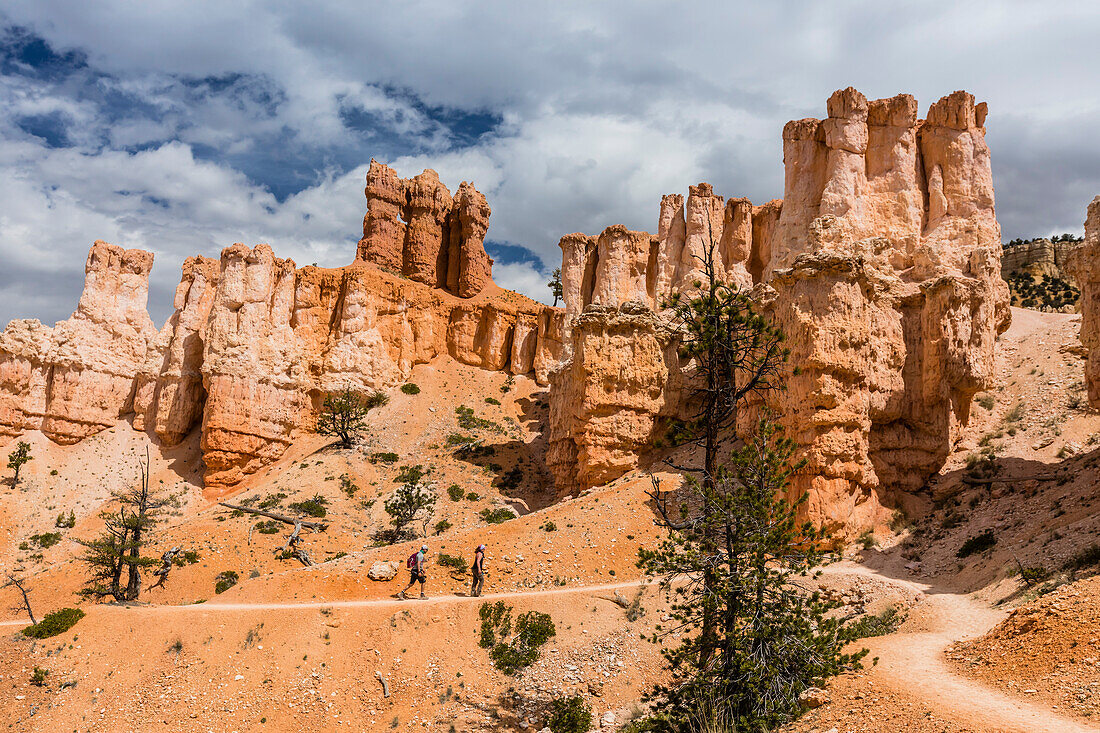 Hikers amongst hoodoo formations on the Fairyland Trail in Bryce Canyon National Park, Utah, United States of America, North America