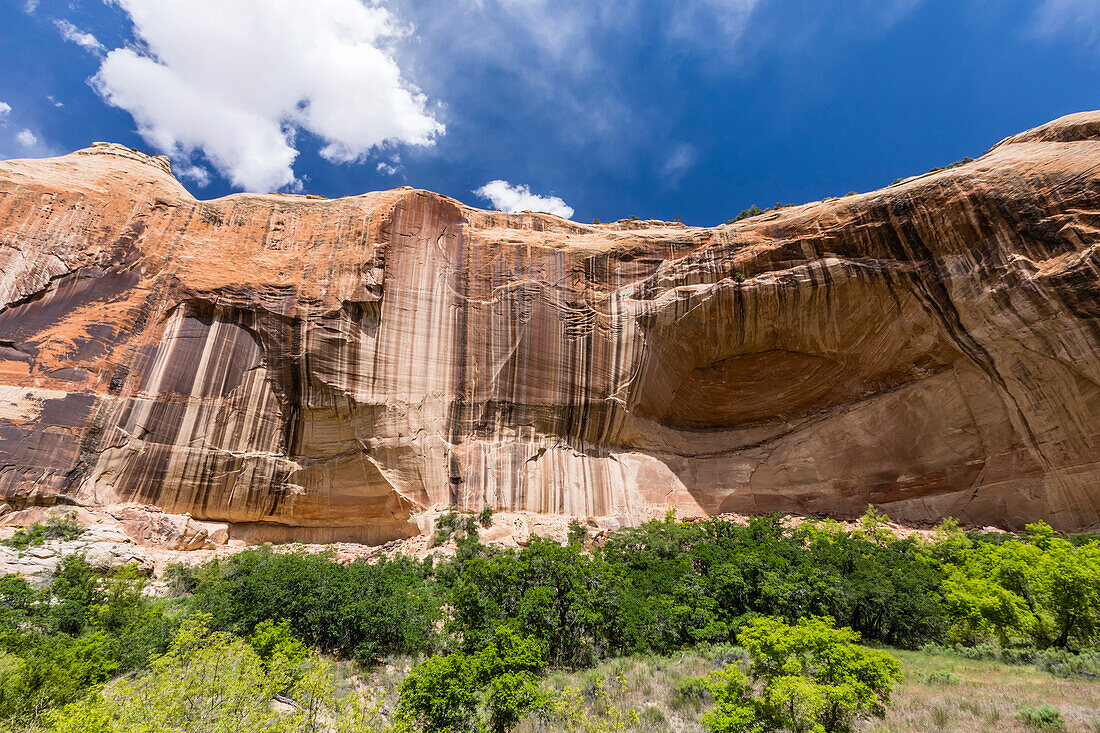 Navajo sandstone in Lower Calf Creek Falls Trail, Grand Staircase-Escalante National Monument, Utah, United States of America, North America