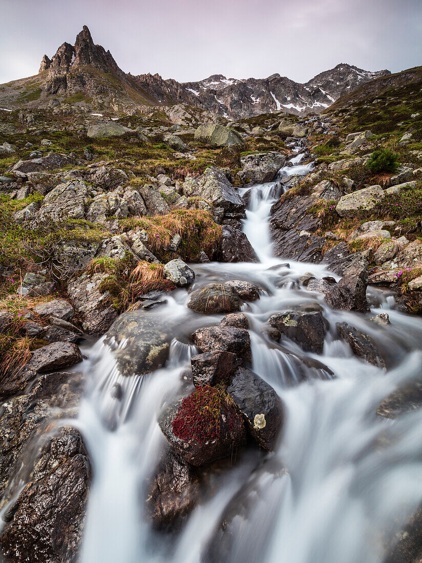 Flowing water of a creek, Alp Da Cavloc, Maloja Pass, Bregaglia Valley, Engadine, Canton of Graubunden, Switzerland, Europe