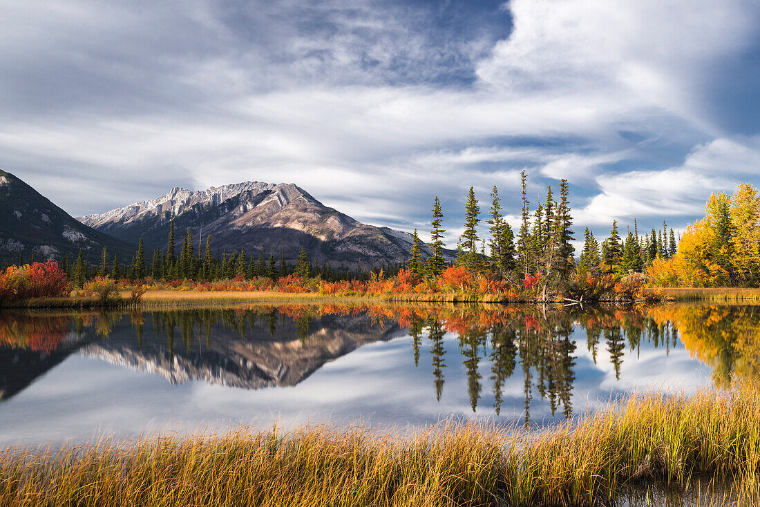 Autumn foliage and mountain lake, Jasper National Park, UNESCO World Heritage Site, Canadian Rockies, Alberta, Canada, North America