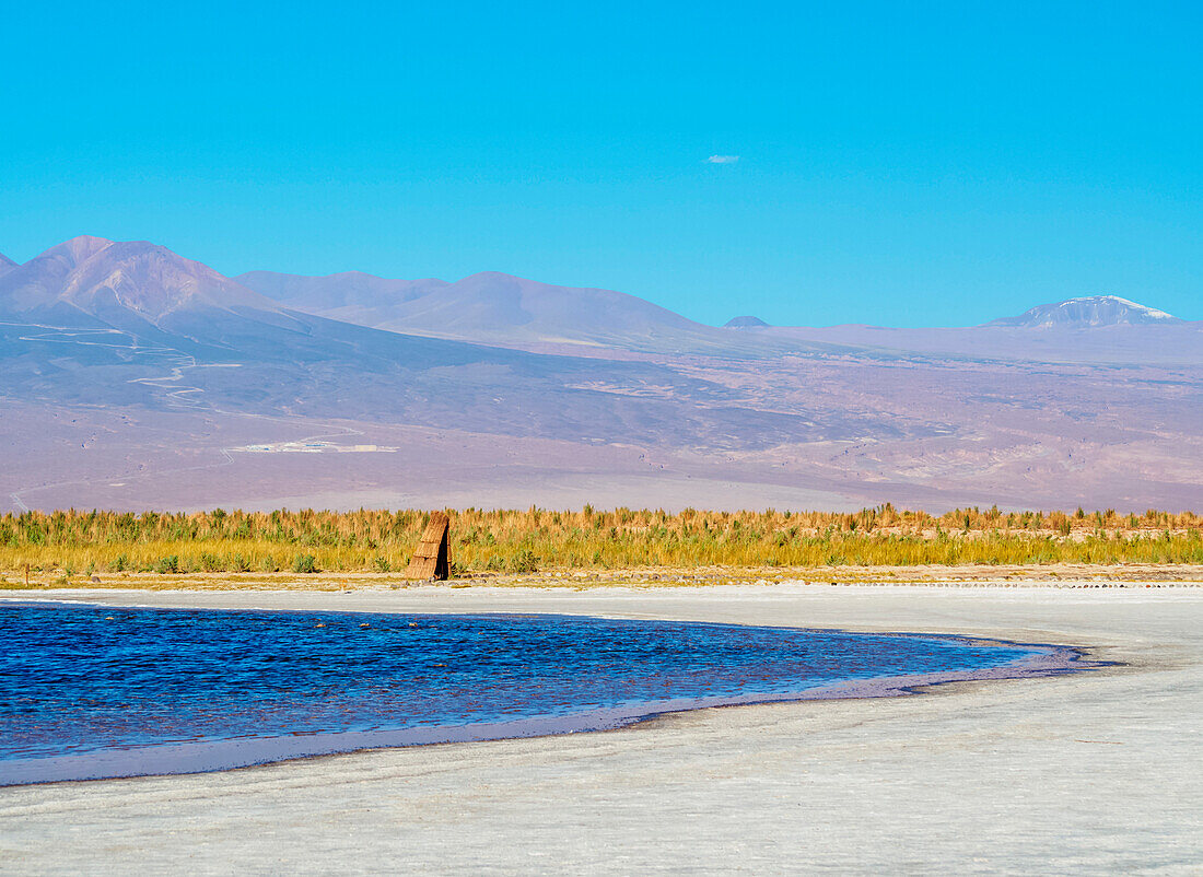 Laguna Baltinache, Salar de Atacama, Antofagasta Region, Chile, South America