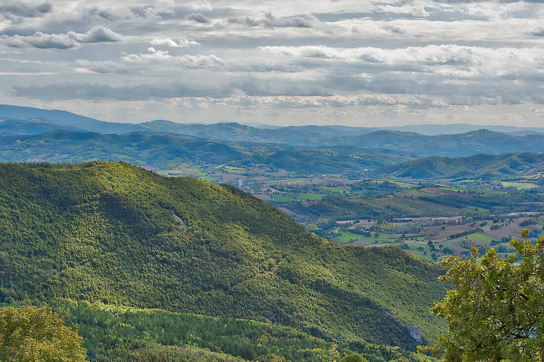 Forest in autumn, Monte Cucco Park, Apennines, Umbria, Italy, Europe