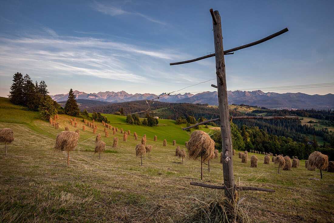Hay stooks in foothills of Carpathian Mountains on outskirts of Bukowina Tatrzanska village, Southern Poland, Europe