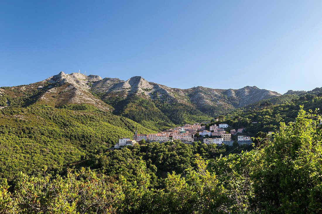 The village of San Piero in Campo at the foot of Monte Capanne, Elba Island, Livorno Province, Tuscany, Italy, Europe