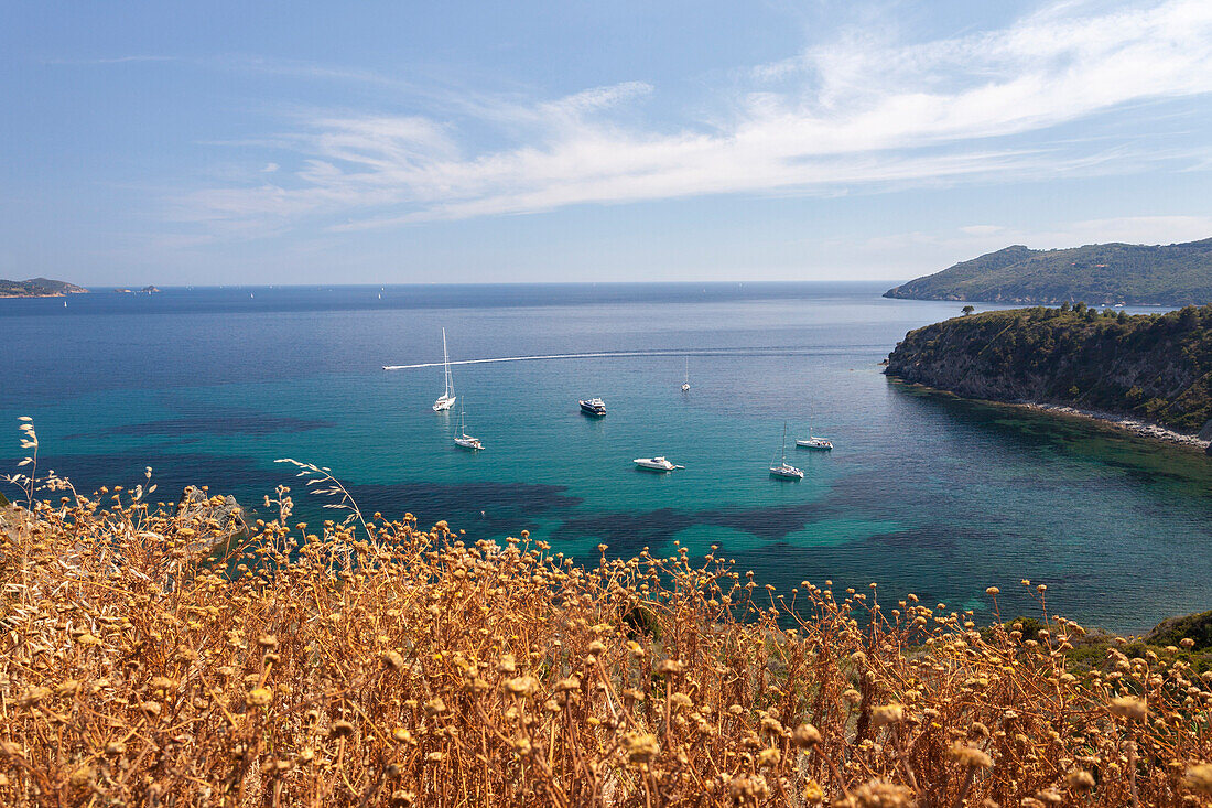 Sailboats in the turquoise sea, Sant'Andrea Beach, Marciana, Elba Island, Livorno Province, Tuscany, Italy, Europe