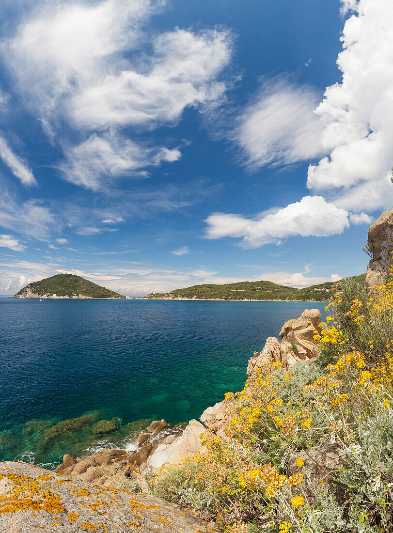 Panoramic of blue sea, Gulf of Procchio, Marciana, Elba Island, Livorno Province, Tuscany, Italy, Europe