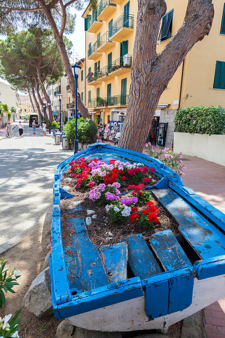 Wood boat decorated with flowers, Marina Di Campo, Elba Island, Livorno Province, Tuscany, Italy, Europe