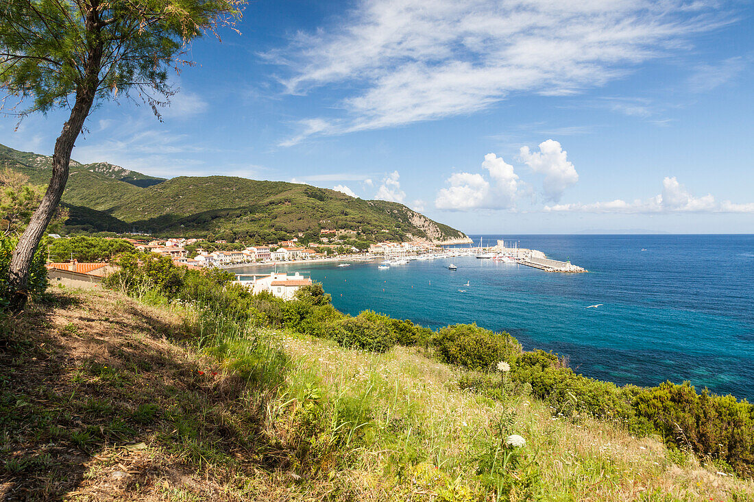 View of harbor and turquoise sea, Marciana Marina, Elba Island, Livorno Province, Tuscany, Italy, Europe