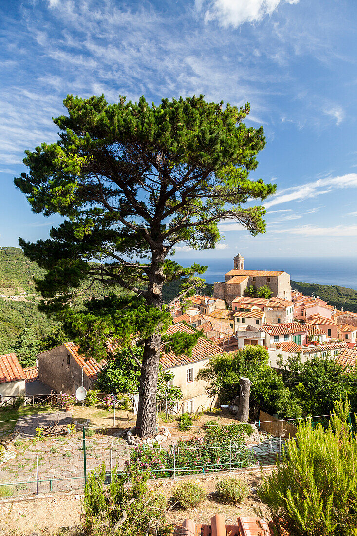 Village of Poggio on the hills of Monte Capanne, Marciana, Elba Island, Livorno Province, Tuscany, Italy, Europe