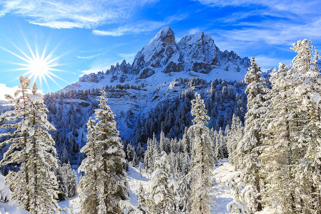 Sass de Putia and forest after a snowfall, Funes Valley, Sudtirol (South Tyrol), Dolomites, Italy, Europe