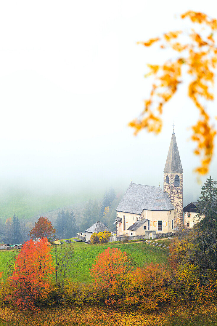 Church of Santa Magdalena in the autumn mist, Funes Valley, Sudtirol (South Tyrol), Dolomites, Italy, Europe