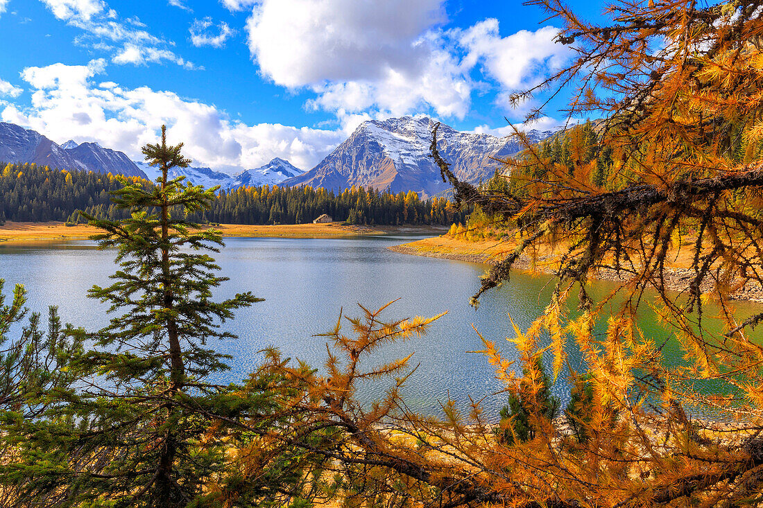 Palu Lake during autumn, Valmalenco, Valtellina, Lombardy, Italy, Europe