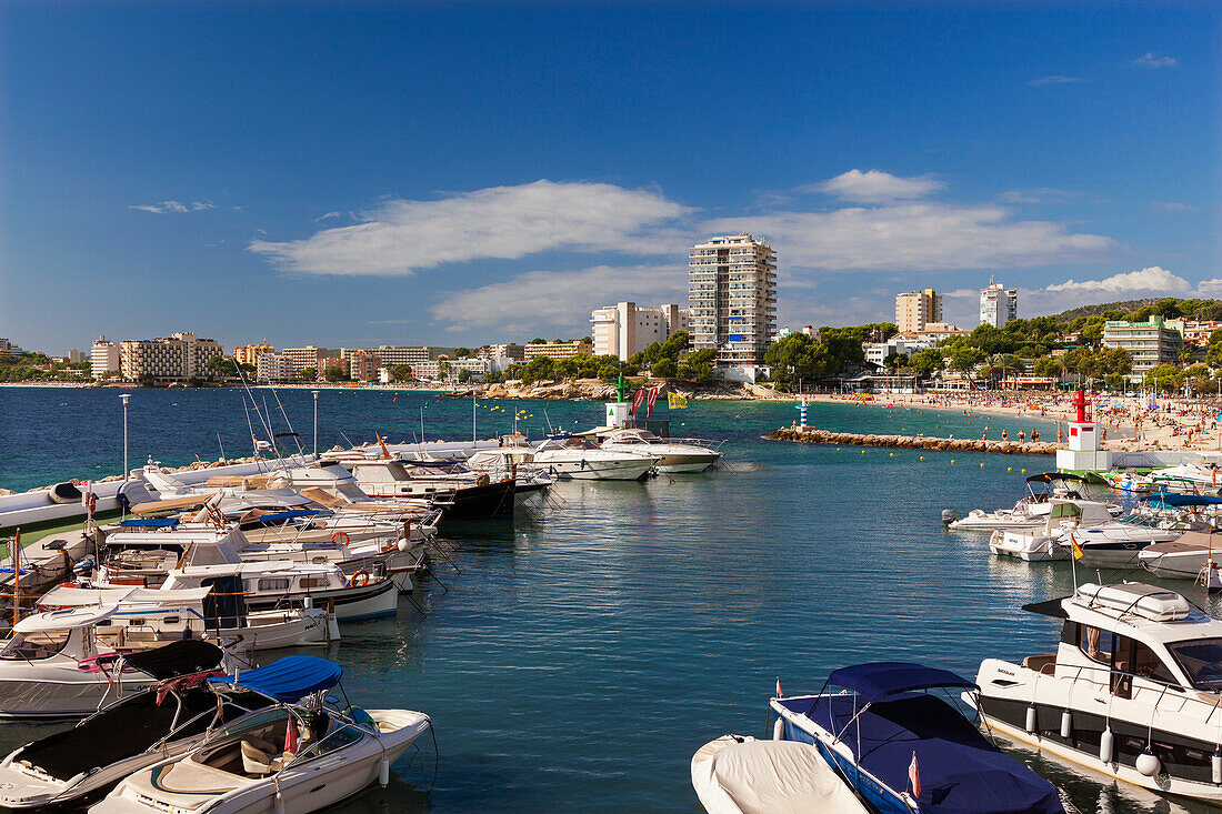 Palma Nova Marina, Mallorca, Balearic Islands, Spain, Mediterranean, Europe