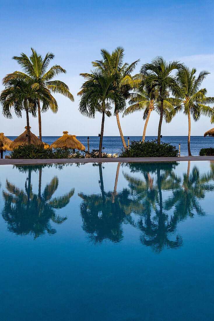 Reflections of palm trees in the swimming pool at Sugar Beach, St. Lucia, Windward Islands, West Indies, Caribbean, Central America