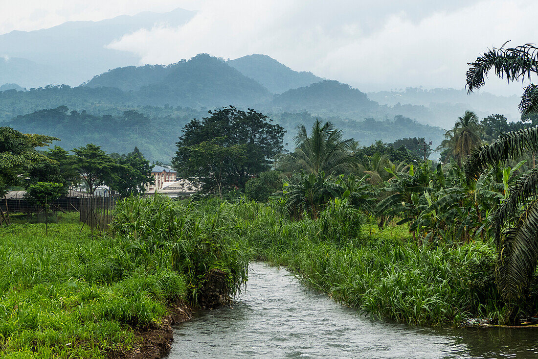 The Botanical Gardens of Limbe, southern Cameroon, Africa