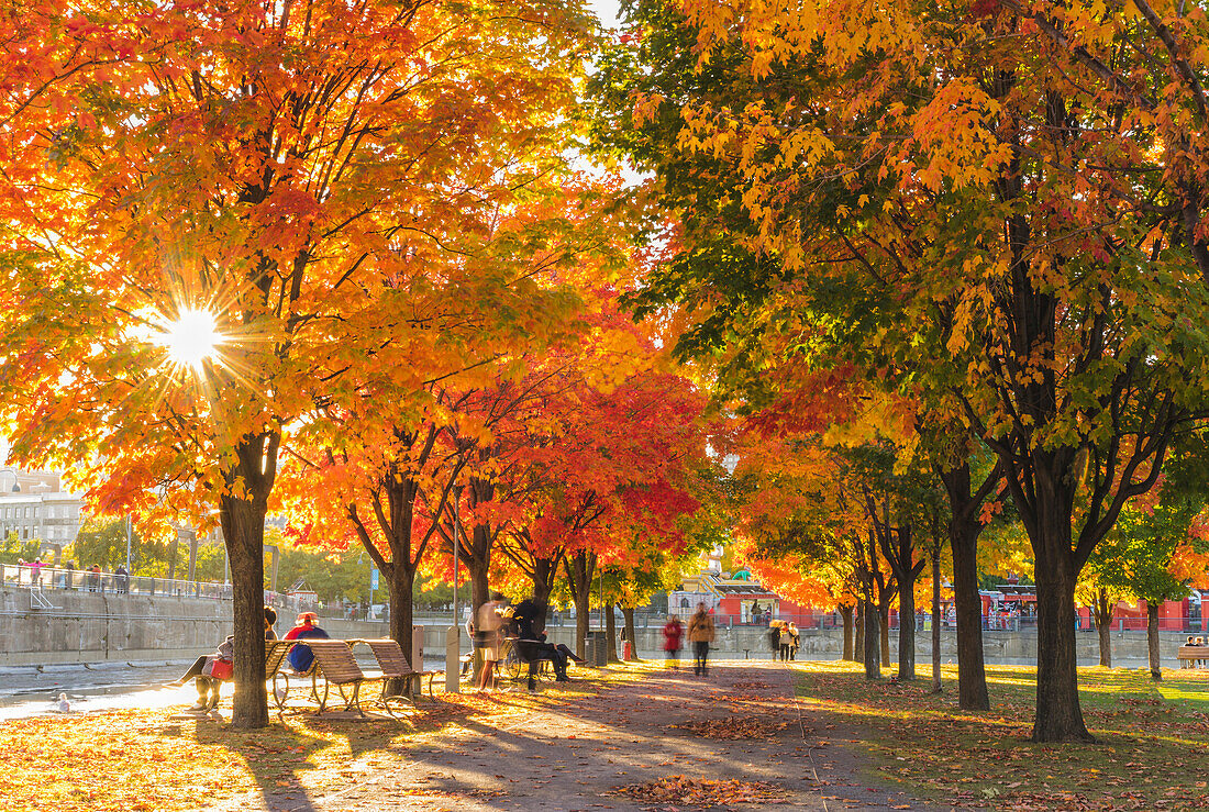 People in park in autumn