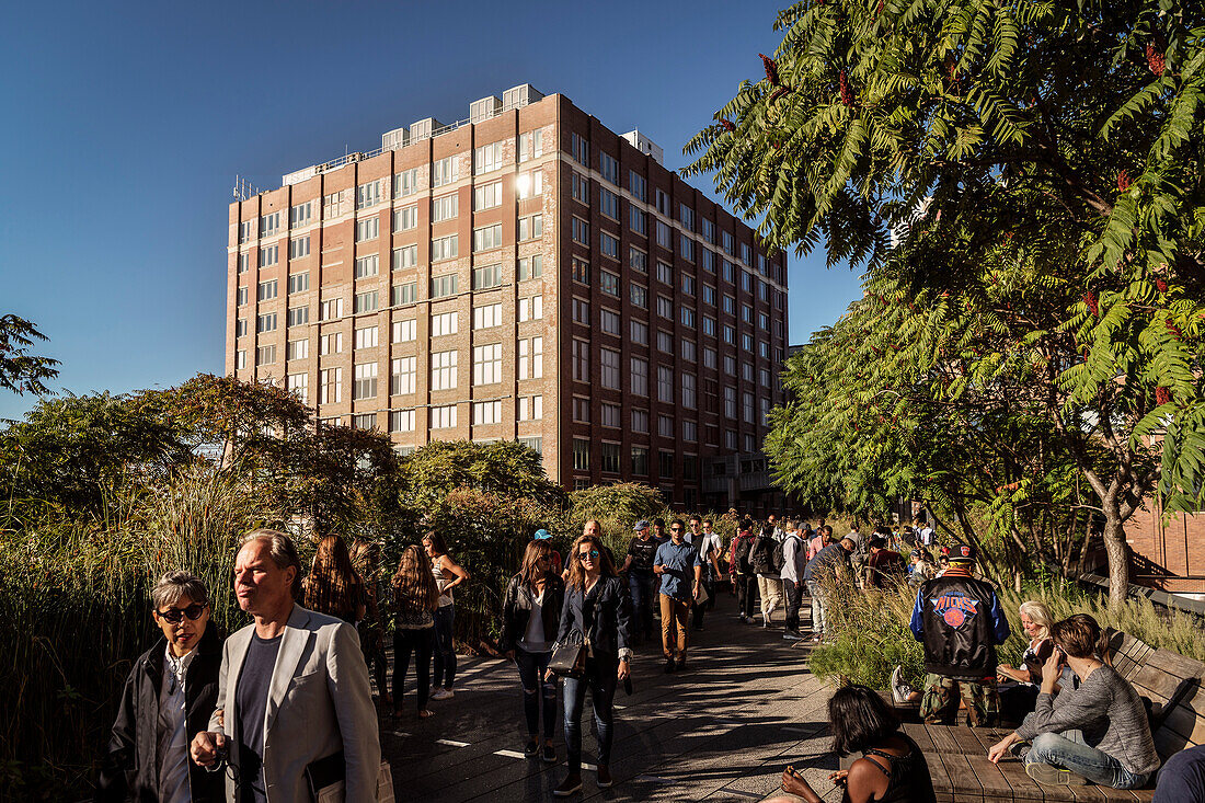 viele Spaziergänger auf dem High Line Park, Manhattan, New York City, Vereinigte Staaten von Amerika, USA, Nordamerika