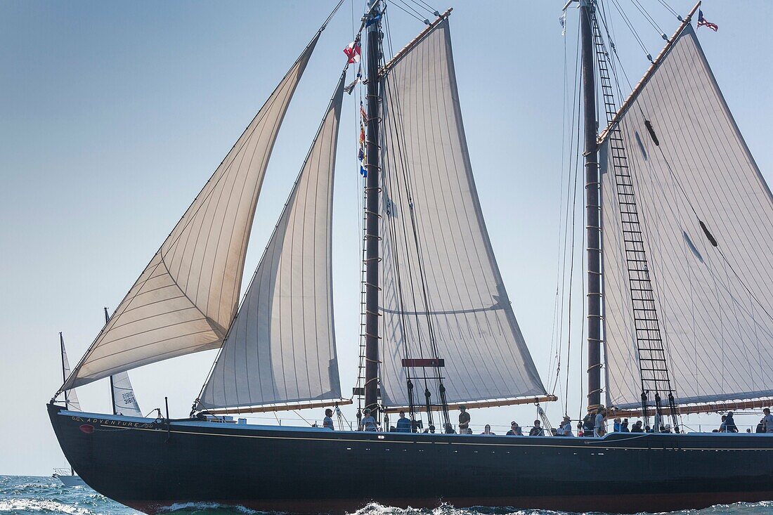 USA, Massachusetts, Cape Ann, Gloucester, America's Oldest Seaport, Gloucester Schooner Festival, schooner sailing ships.