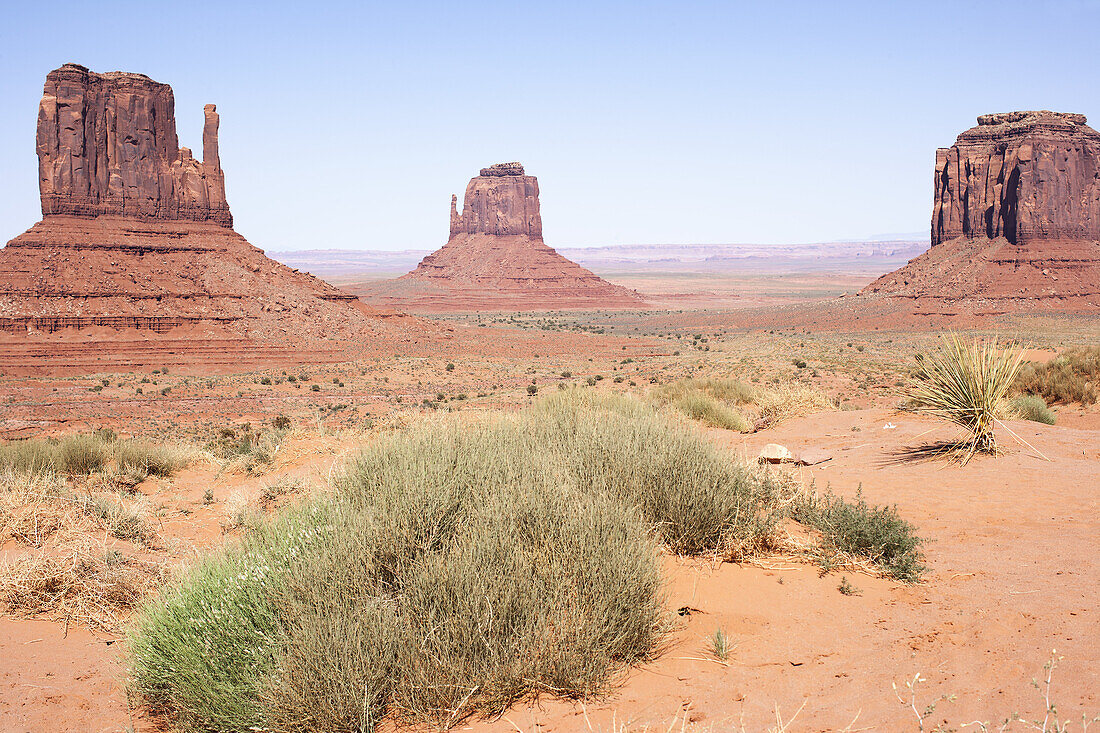 The green of desert sage brush contrasts with the iconic, orange colored sandstone formations in Monument Valley.