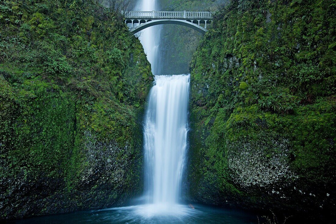 Multnomah Waterfall attracts people from around the world to see water plunge over 600 feet in two tiers.