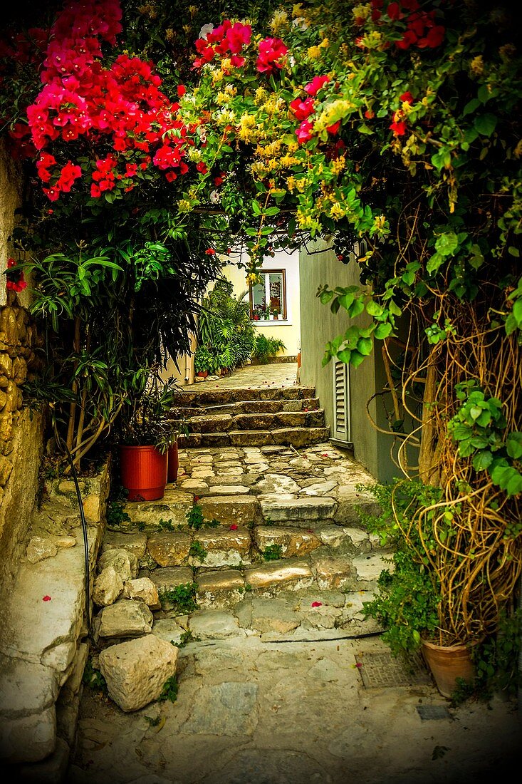 Plaka district in Athens, Greece, Europe.