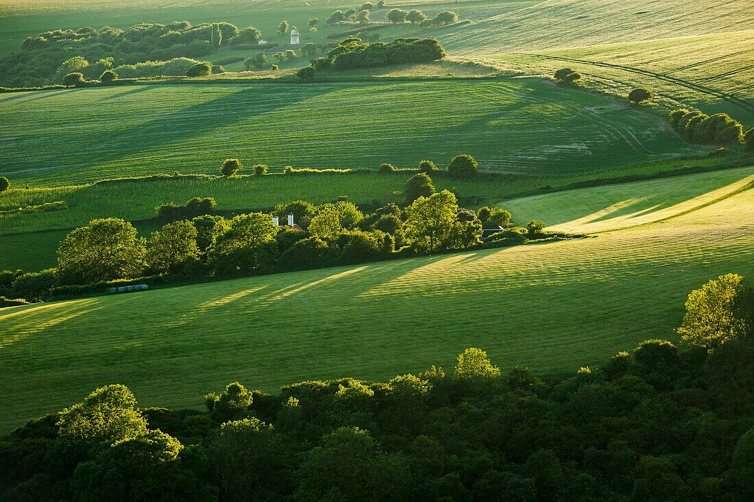 Spring evening in South Downs National Park near Brighton, East Sussex, England.